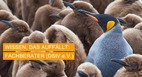 News: Fachberaterin für Controlling und Finanzwirtschaft (DStV e.V.) (05.10.2017)
